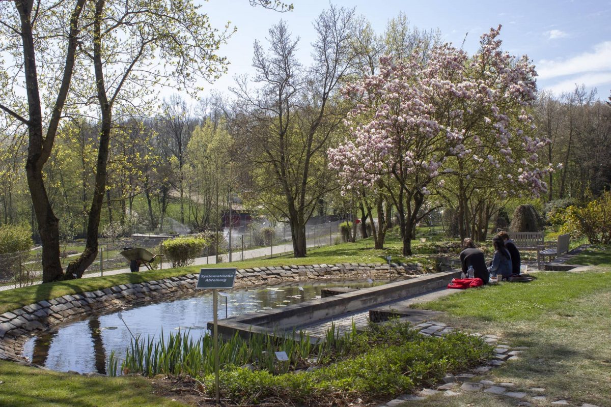 Im Botanischen Garten lassen sich ganz besondere Schätze ...