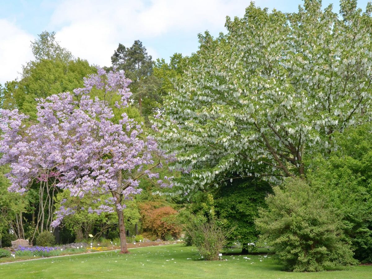 Woche Der Botanischen Garten An Der Universitat Regensburg 2 6